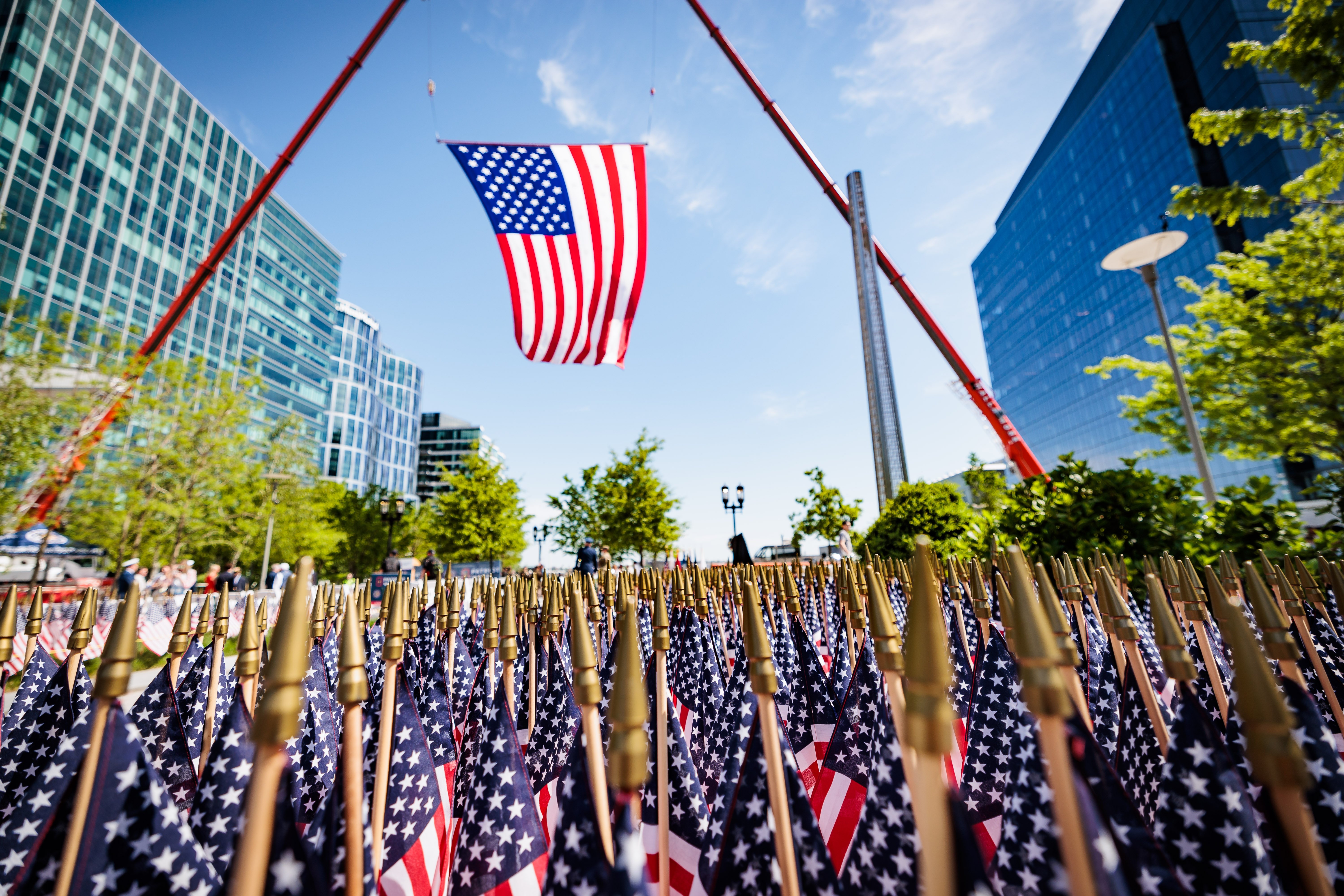 Flags For The Fallen